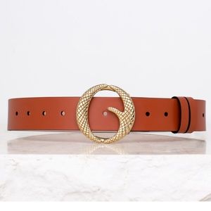 Clinch Belts Classic Brass & Sienna Brown Belt